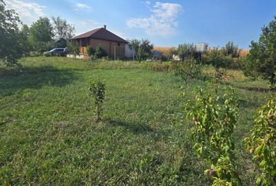 Teren cu cabanuta de lemn in Zaicesti - 9