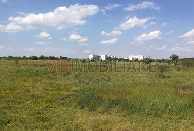 Baneasa - Piscul Reghiului, teren intravilan, suprafata 727 mp - 1