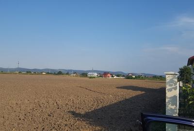 Teren intravilan, 2290mp, deschidere 21ml, in Serbanesti - 2