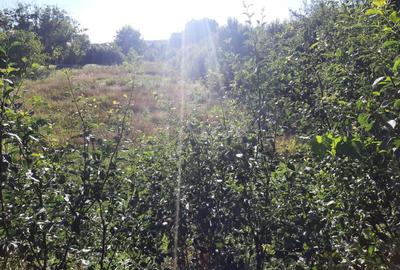 Exclusivitate! Casa în Zona Dâmbul Rotund, 3046mp teren. - 4