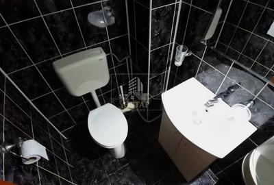 Energiei-3 camere decomandate-2 băi-etajul 3-centrală proprie - 11