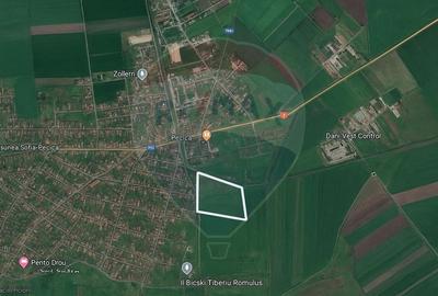 Teren extravilan cu iesire la drumul principal- Pecica, Arad - 1