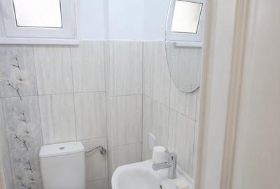 Apartament 3 camere zona Bulevard , etaj 3 , renovat , mobilat si utilat - 10