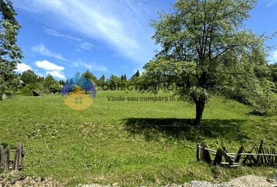 Teren 11557 mp comuna Ceahlau - 12