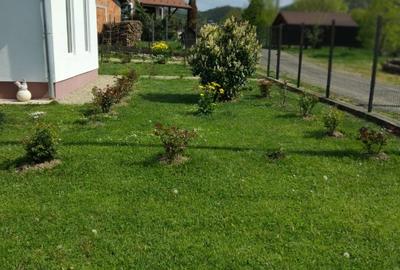 Vanc casa cu teren intravilan - 6