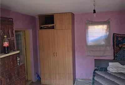 Casa cu teren 3579mp in com. Cascioarele, Jud. Giurgiu - 9