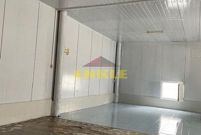 De vânzare: Hală industrială cu anexă birouri/apartament - 2