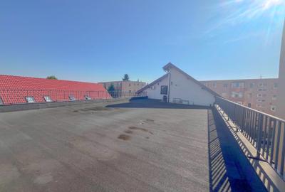 Penthouse, 83 mp utili, terasa 150 mp, Gemenii - 18