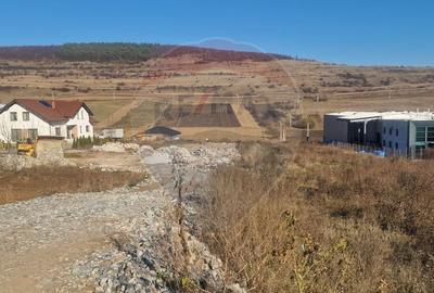Teren pentru hala industriala/ Valcele / DN E60 - 3