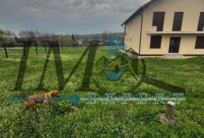 Teren intravilan de vânzare la ieșire din Petresti - 3