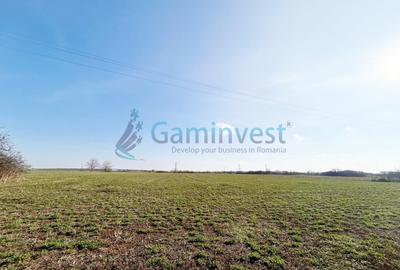 Teren industrial de vanzare, Puz aprobat, Parcul Industrial Bors, Bihor - 1