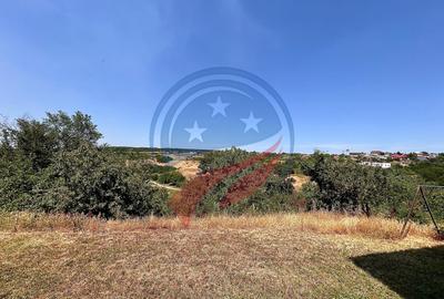 Vila cu 6camere de vanzare in Carcea/Dolj - 27