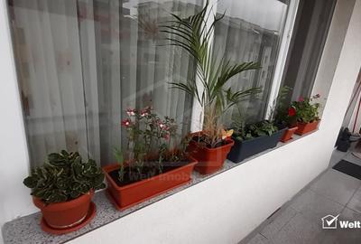 Apartament 2 camere, Baciu, Resturant Regal, Bloc nou, Pod, Parcare subterna - 11