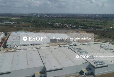 WDP Industrial Park Dragomiresti, spatii industriale, 0% comision - 4