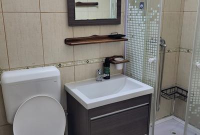 Ultracentral, km 0, mobilat și utilat complet - 9