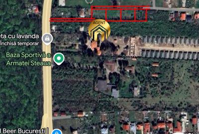 4 X Loturi Teren Intravilan in Saftica – Balotesti |  100m de DN1 - 6