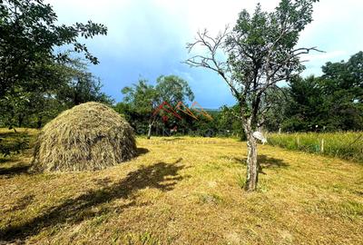 Teren 2037 mp, 17 ml deschidere, 28 euro/m2, vedere panoramica - 7