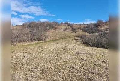 Teren de exceptie 3,1 ha intravilan | Panorama, utilitati, acces dublu | Sard - 4