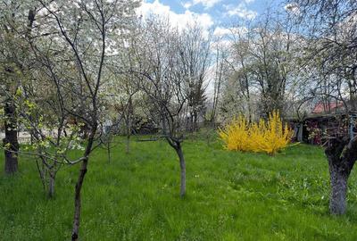 Teren intravilan construibil 1882 mp, front 40 ml, zona turistica, Cornu, Prahov - 7