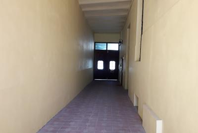 Cladire mixta cu spatii la parter si numeroase incaperi -central - 9