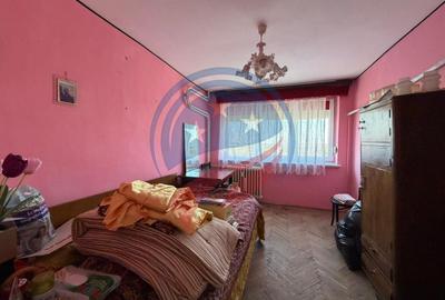 APARTAMENT 3 CAMERE VALEA ROSIE - 3