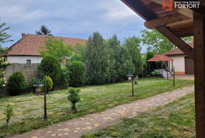 Casa deosebita in Sacalaz - vatra satului la 15 minute de Timisoara - 22