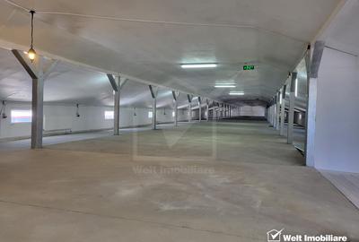 Proprietate multifunctionala spatii de la 40 mp la 1000 mp - 7