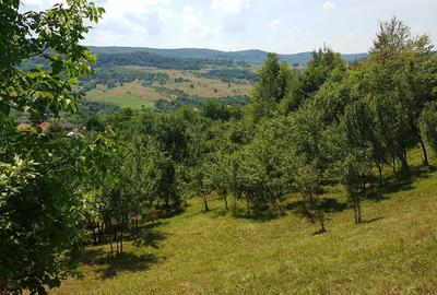 24.141 mp 1h30' de Bucuresti -  ideal casa sau complex retreat - 2