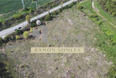 Teren intravilan industrial 16142 mp, Centura de Est, Ploiesti - 3