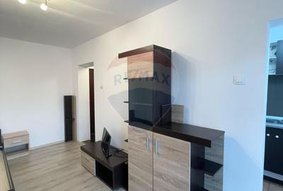 Apartament cu 1 camera de inchiriat in Micalaca - 1