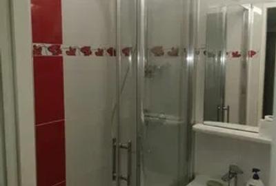 Apartament cu 2 camere semidecomandat, mobilat în Podul de Piatră - 7