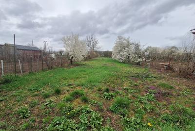 Casă de vânzare în Vinerea (Cugir) – ideală pentru renovare - 7