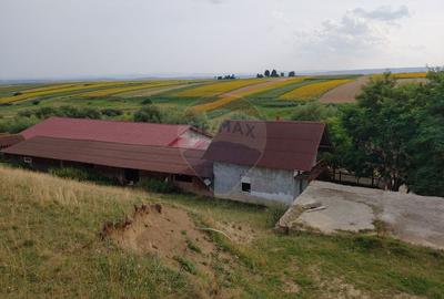 Teren parțial intravilan-300000mp Stroiești-Trei Movile, Suceava - 9
