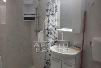 Apartament cu o camera de inchiriat,  Calea Girocului, Timisoara - 6
