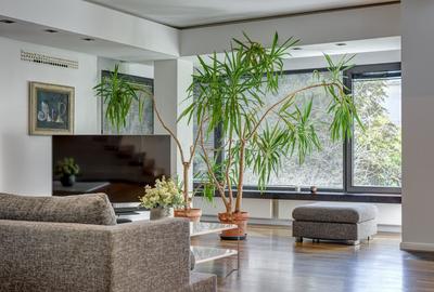 Închiriere Penthouse Duplex 350 mp  | Terase 130 mp | Floreasca - 2