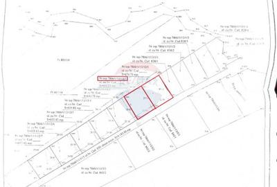 Teren Rasnov - Cheile Rasnoavei, 654mp, posibil 1329mp - 11