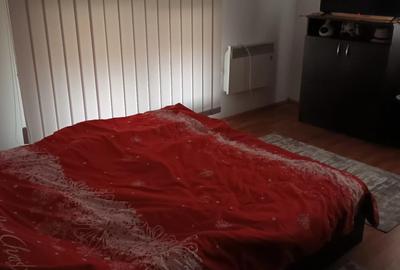 Casa individuala cu 4 camere, in Valea Chintaului, teren 200mp - 3