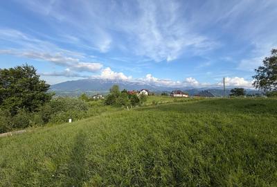 Teren intravilan 1400 mp in satul Pestera, Comuna Moieciu, zona Bran - 22