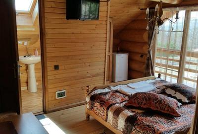RATE Pensiune Piscina Superba***pe mal Lac Mocearu  70km de Buzau - 59
