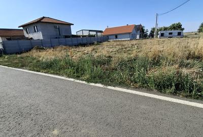 Dudestii Noi – Teren Constructii – Case - 1