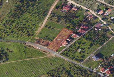 Teren Construcții intravilan de 2400 mp, în Dealuri Oradea
