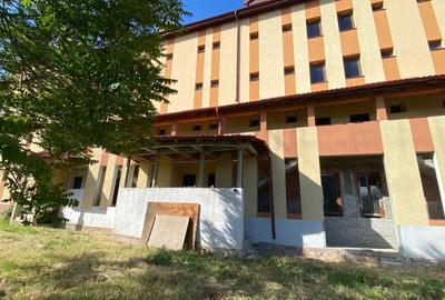 Casă individuală cu 30 camere în Virtuții
