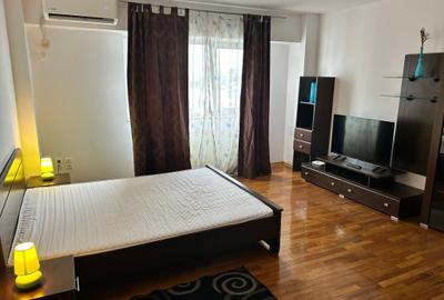 Calea Calarasilor , garsoniera, 10 minute metrou Muncii, PET FRIENDLY - 1