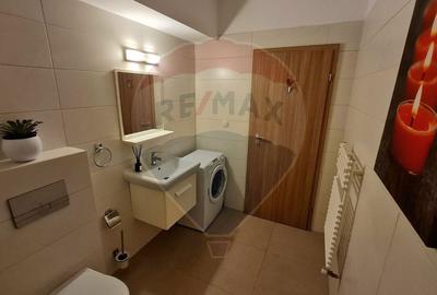 Apartament cu 2 camere si terasa de închiriat în zona Buna Ziua - 14