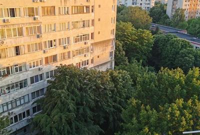 Apartament cochet cu doua camere, Alexandru Obregia, 85.000€ - 13