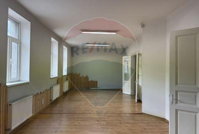 Apartament ultracentral cu curte, 2 unități locative. Str. Pitesti - 10