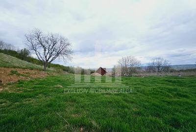 Teren intravilan | De vanzare | 630 mp | 22 ml deschidere | Seigau - 3