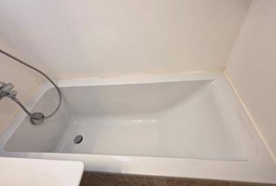 Inchiriere apartament Baba Novac - 16