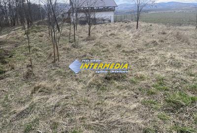 TEREN INTRAVILAN I 800 MP I IGHIU I LATIME 29 ML I IDEAL CASA SAU CABANA I - 1