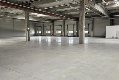 Spatiu Industrial - 4600 mp - Productie - Depozitare - Distributie - 12